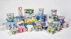 Produits laitiers nature – Les résultats de nos analyses